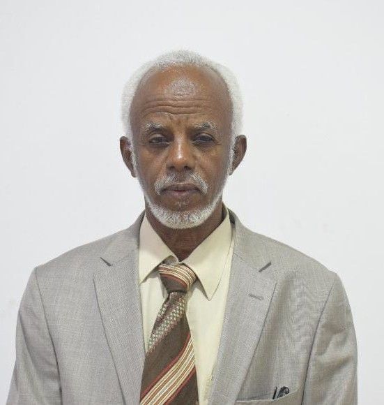 Hassan Youssef